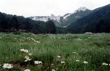 Bigadi&ccedil;