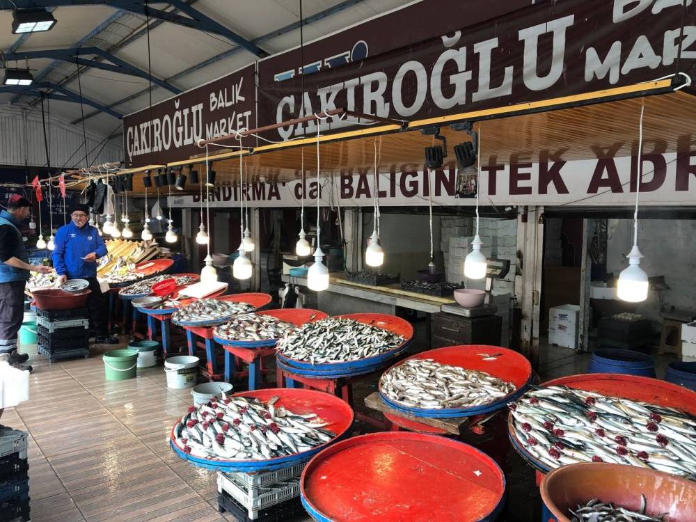 Marmara’da hamsinin zayıf kalması fiyatlara yansıdı
