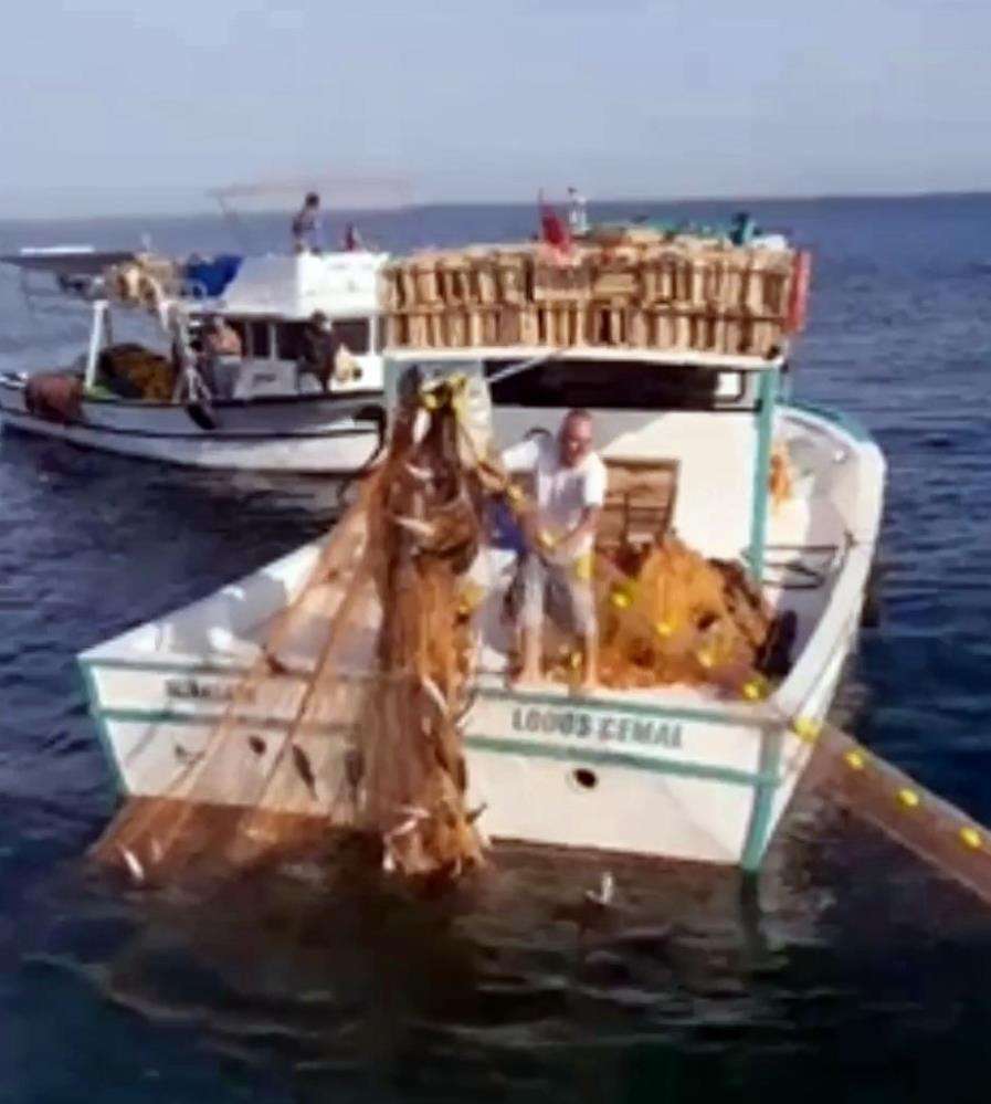 Ağına bol miktarda palamut takılan balık&ccedil;ının g&ouml;r&uuml;lmeye değer sevinci
