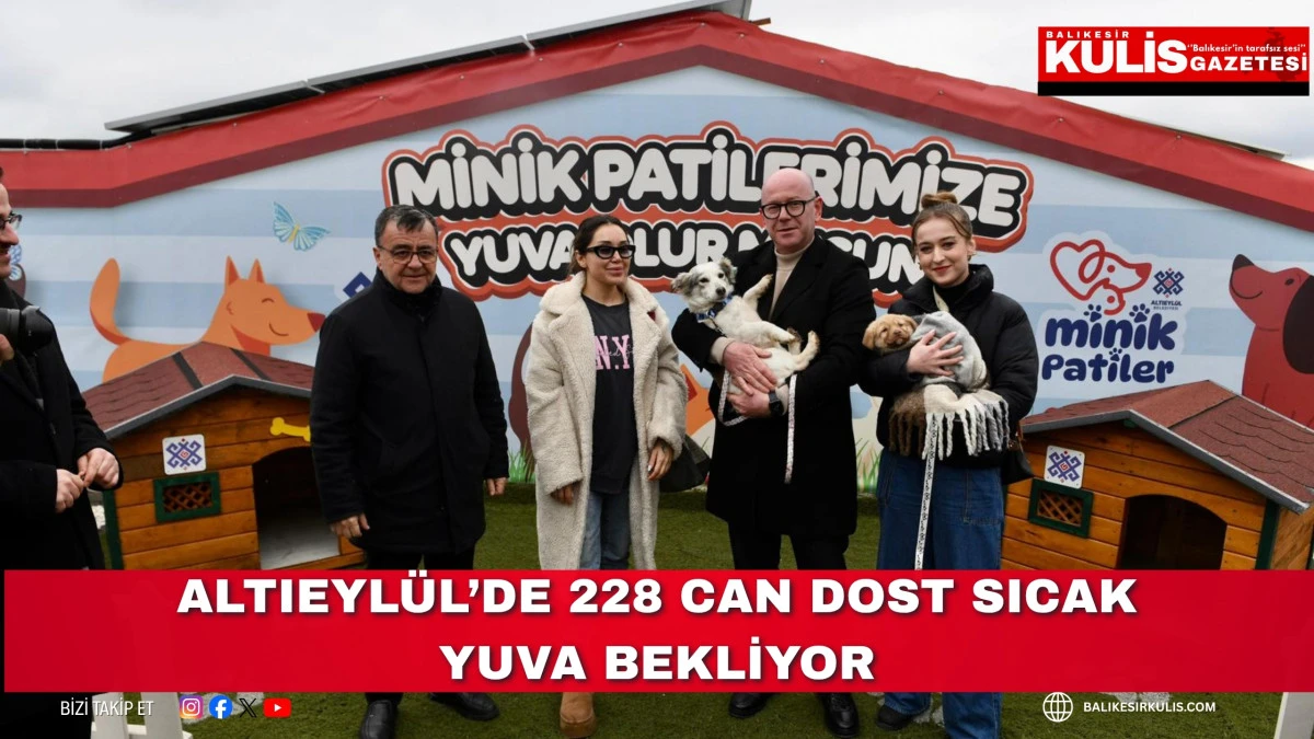 ALTIEYL&Uuml;L&rsquo;DE 228 CAN DOST SICAK YUVA BEKLİYOR