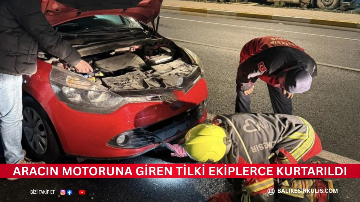 Aracın motoruna giren tilki ekiplerce kurtarıldı