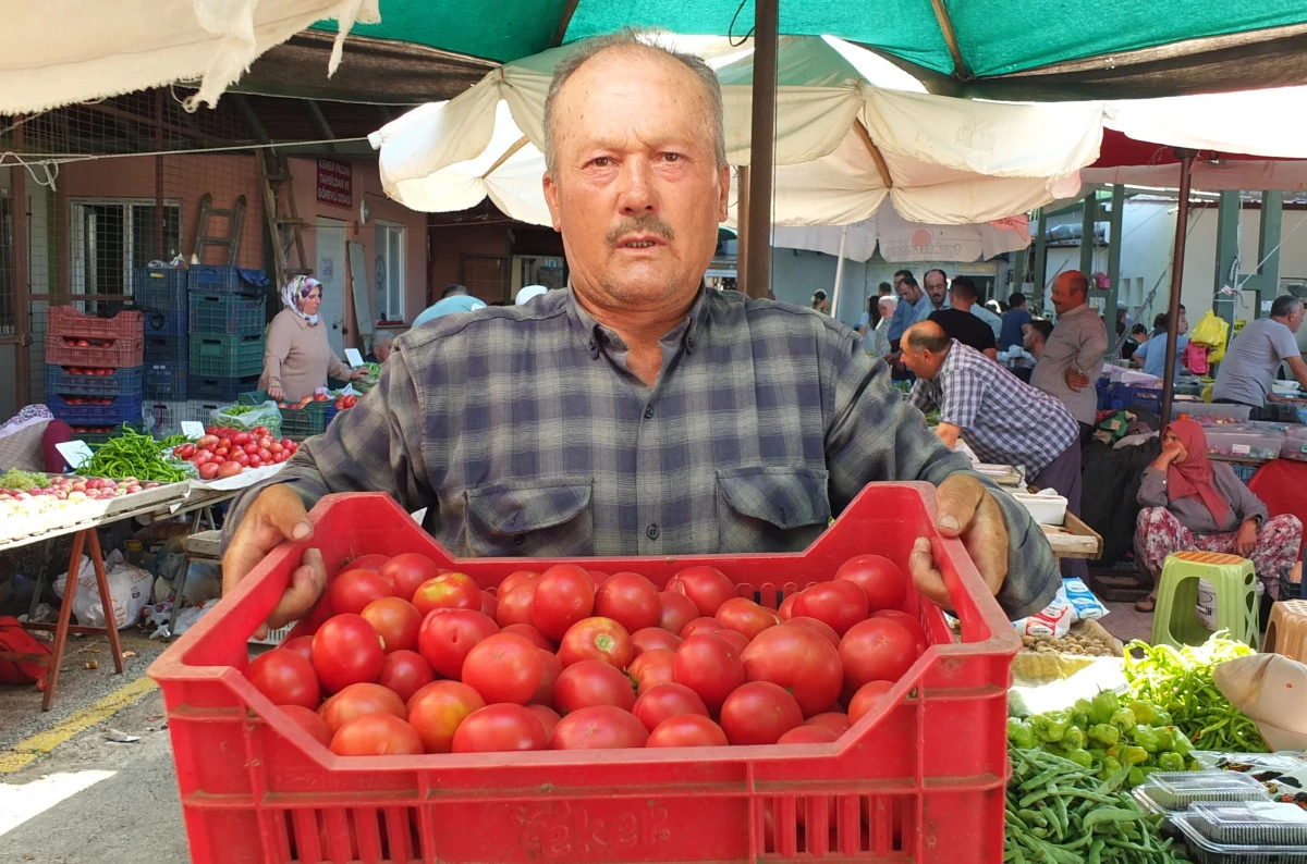 Balıkesir Burhaniye de organik &uuml;r&uuml;nler pazarı kuruldu  