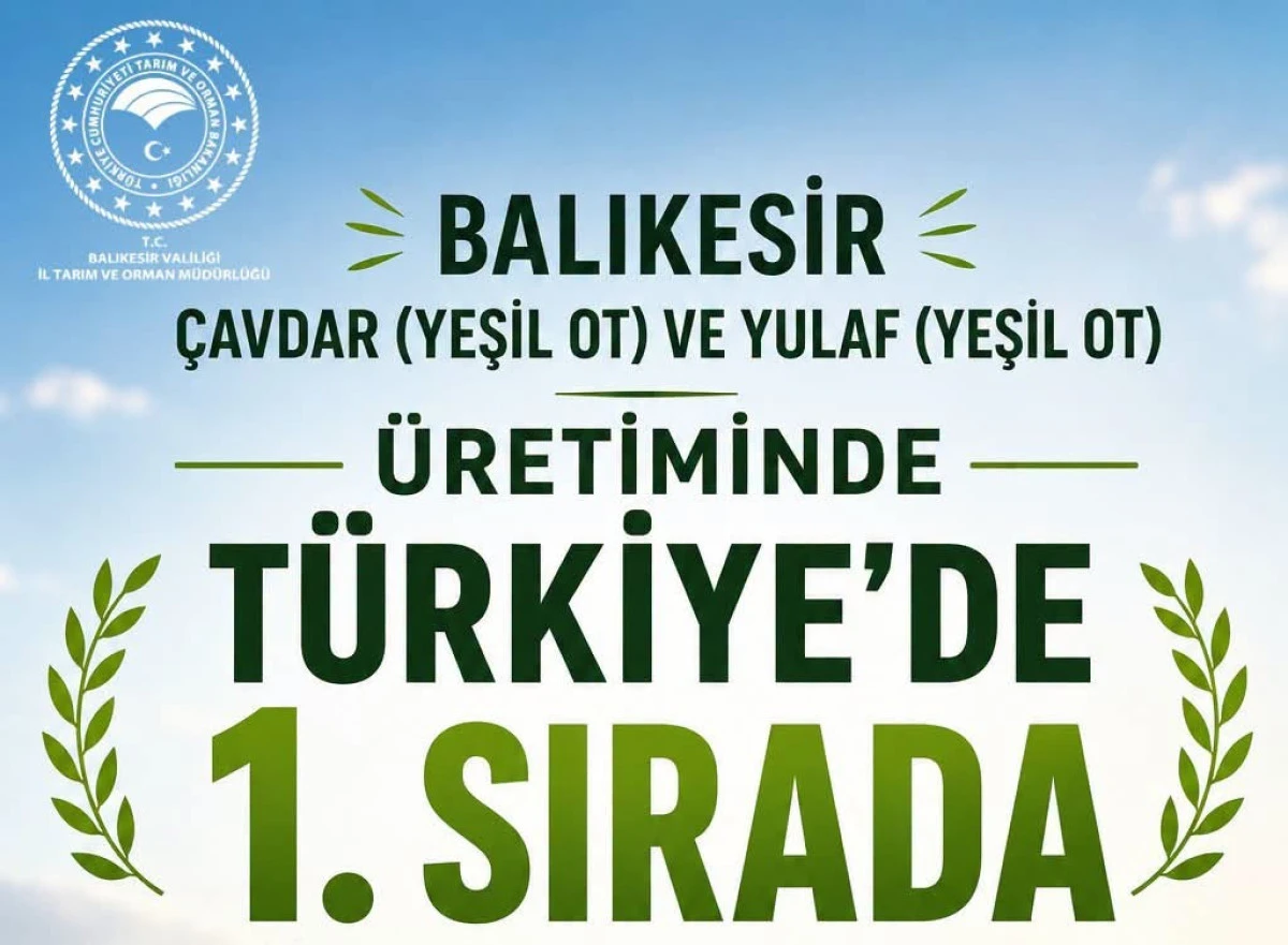 Balıkesir, &Ccedil;avdar ve Yulaf Yeşil Ot &Uuml;retiminde T&uuml;rkiye Birincisi
