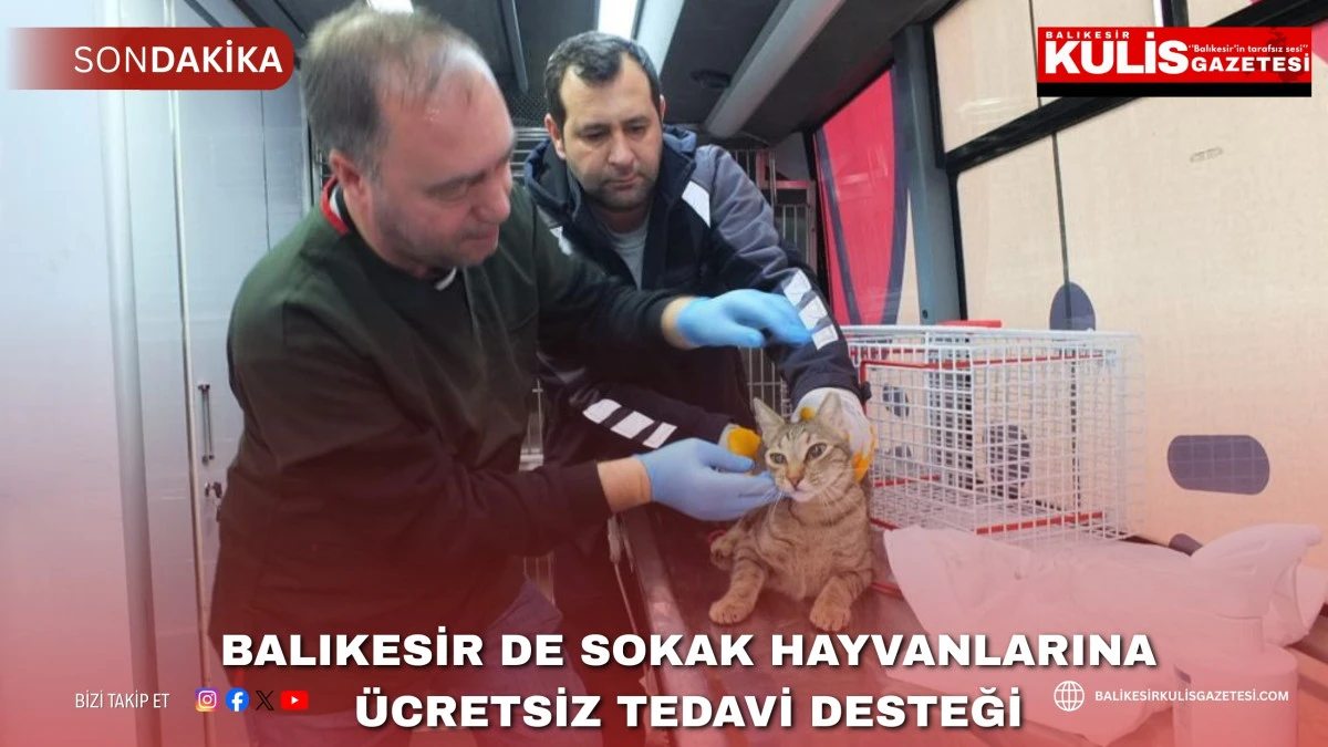 Balıkesir de sokak hayvanlarına &uuml;cretsiz tedavi desteği