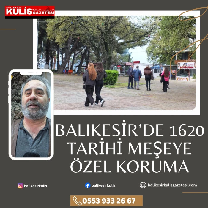 Balıkesir&rsquo;de 1620 tarihi meşeye &ouml;zel koruma
