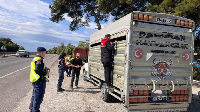 Balıkesir&rsquo;de canlı hayvan nakillerine y&ouml;nelik yol kontrolleri ger&ccedil;ekleştirildi   