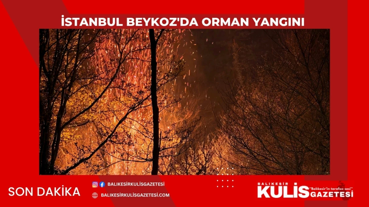 Beykoz&rsquo;daki Orman Yangını 9 Saat Sonra Kontrol Altına Alındı: 14 Hektar Alan Zarar G&ouml;rd&uuml;