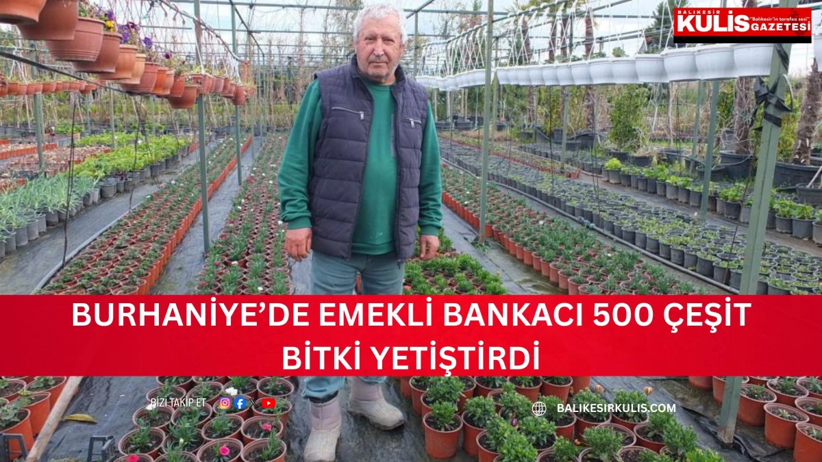 Burhaniye&rsquo;de emekli bankacı 500 &ccedil;eşit bitki yetiştirdi