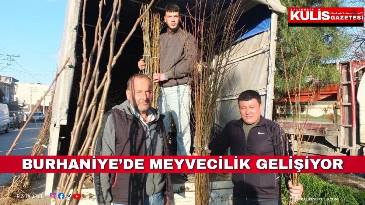 Burhaniye&rsquo;de meyvecilik gelişiyor