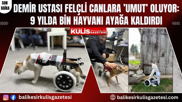 Demir ustası fel&ccedil;li canlara &rsquo;umut&rsquo; oluyor: 9 yılda bin hayvanı ayağa kaldırdı