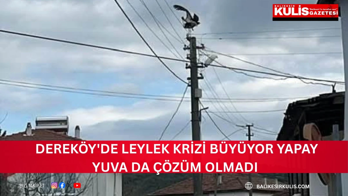 G&ouml;nen Derek&ouml;y'de leylek yapay yuvayı reddetti, eski yerine d&ouml;nmek istiyor