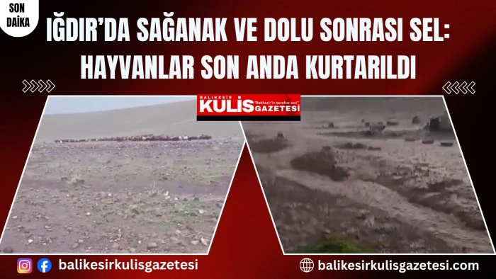 Iğdır&rsquo;da sağanak ve dolu sonrası sel: Hayvanlar son anda kurtarıldı