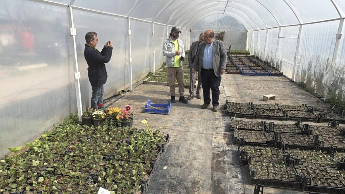 İklim değişikliği ve kuraklık nedeniyle su tasarruflu peyzaj d&ouml;nemi