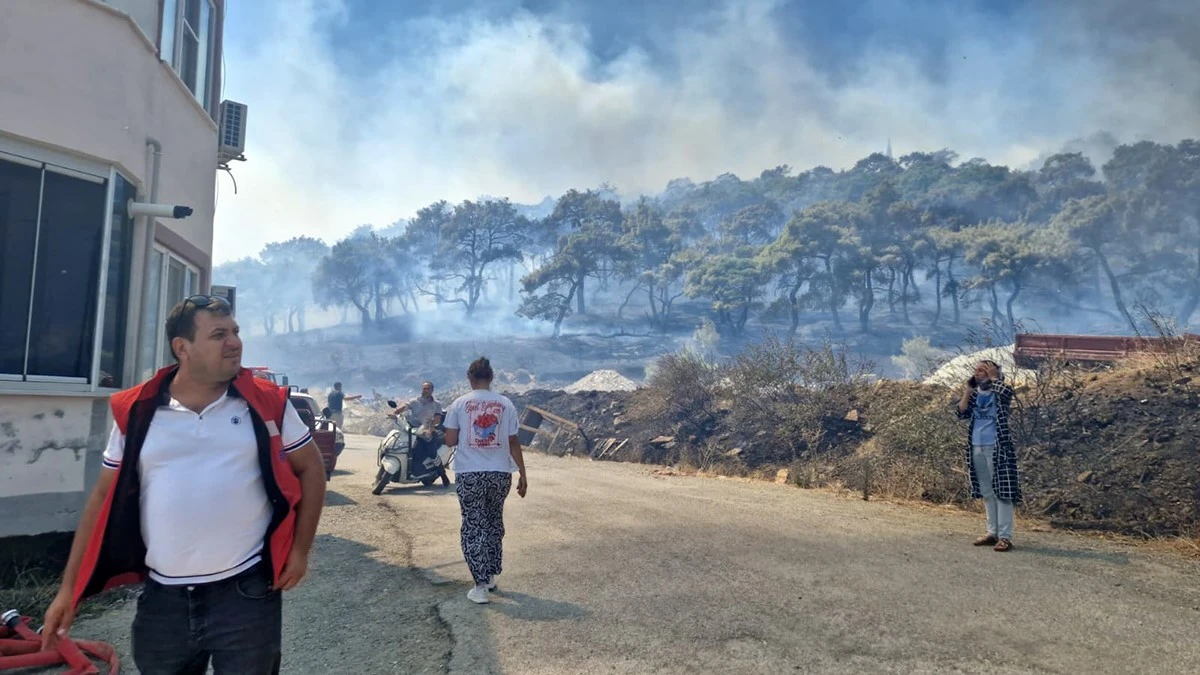 Kazdağları eteklerinde yangına 9 u&ccedil;ak 6 helikopter ile m&uuml;dahale ediliyor