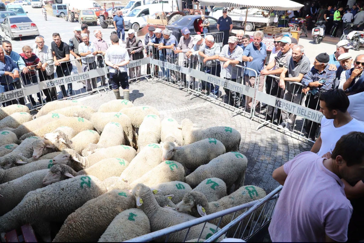 Kepsut Belediyesi'nden Kırsala B&uuml;y&uuml;k Destek