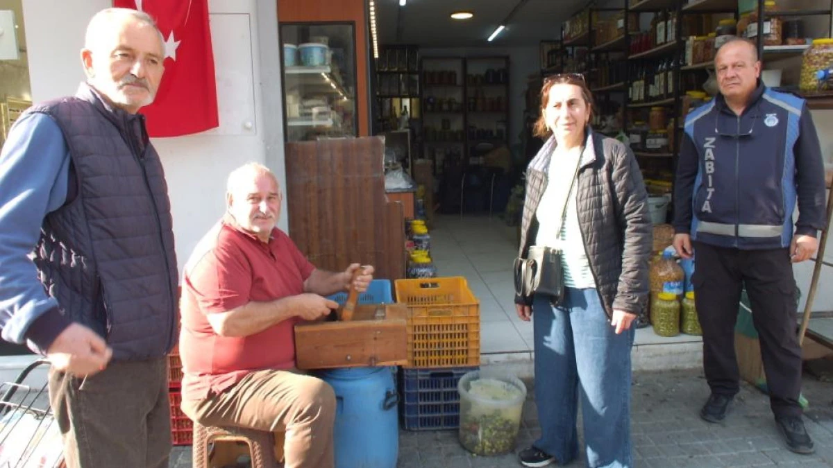 kırma zeytinlerin hazırlanmasına başlandı   