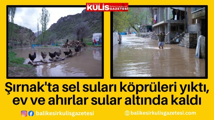 Şırnak'ta sel suları k&ouml;pr&uuml;leri yıktı, ev ve ahırlar sular altında kaldı