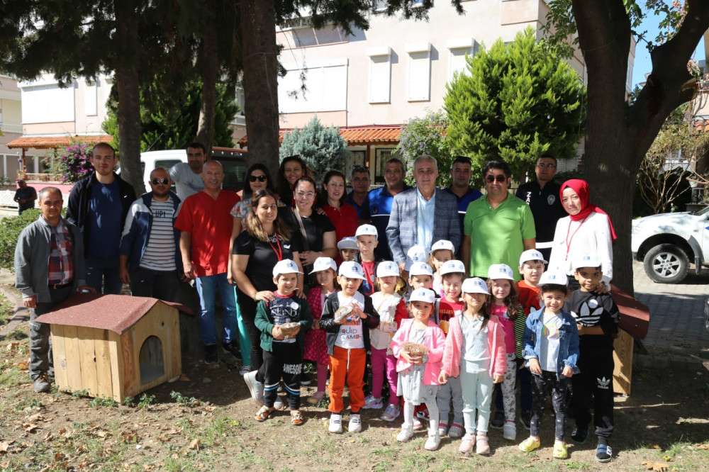  Sokak hayvanları koruma g&uuml;n&uuml;nde kedi evleri dağıtıldı