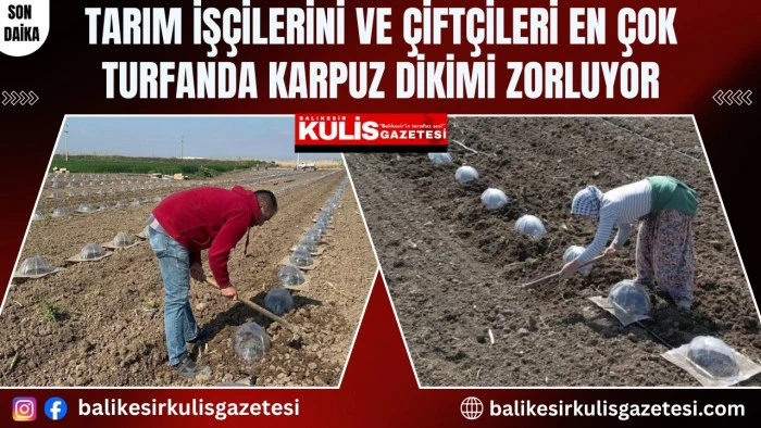 Tarım iş&ccedil;ilerini ve &ccedil;ift&ccedil;ileri en &ccedil;ok turfanda karpuz dikimi zorluyor