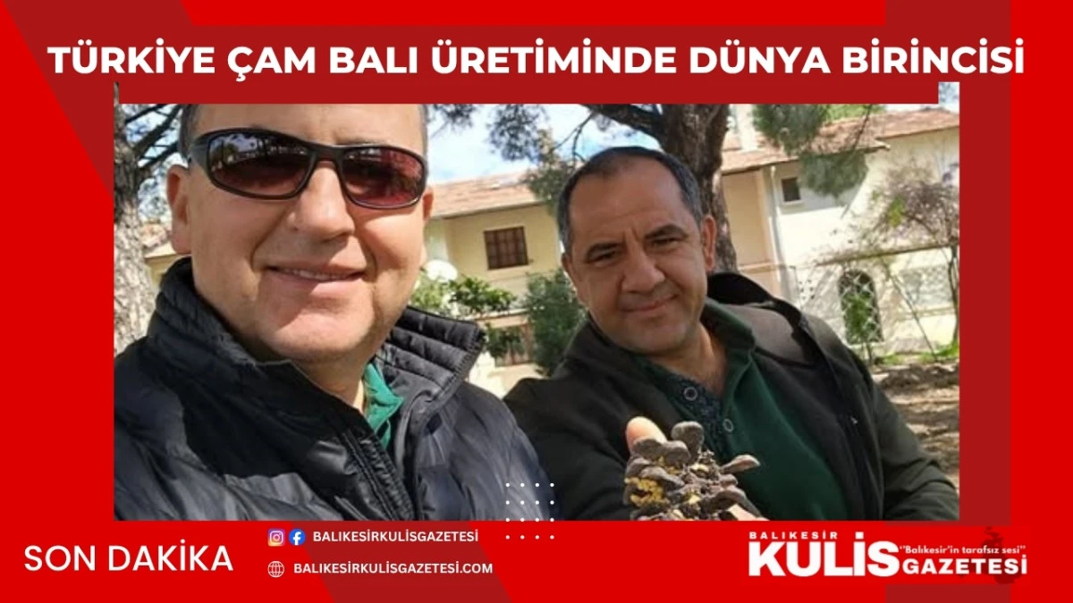 T&uuml;rkiye &ccedil;am balı &uuml;retiminde d&uuml;nya birincisi