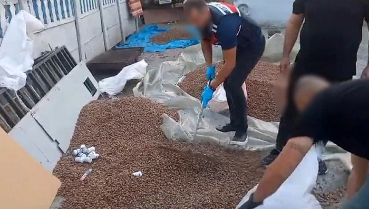 Uyuşturucu zulası fındık &ccedil;uvalında!