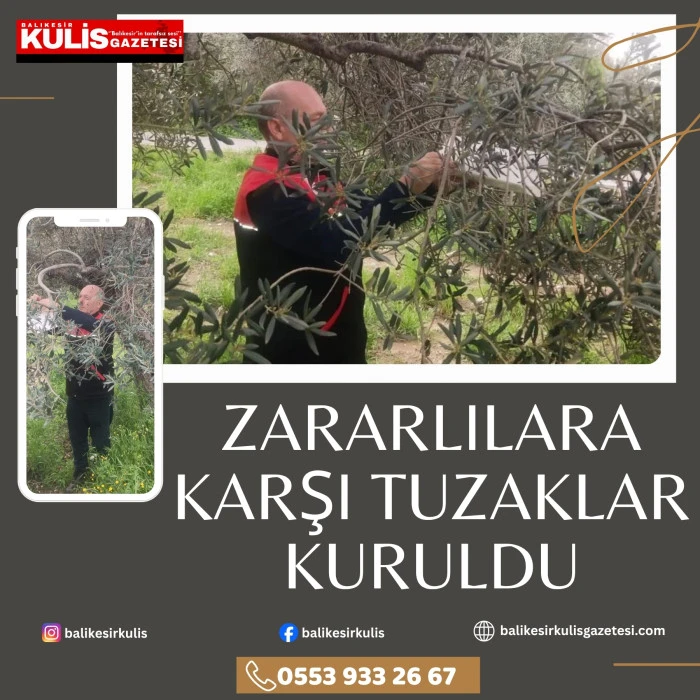 Zararlılara karşı tuzaklar kuruldu
